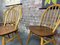 Windsor Dining Chairs by Lucian Ercolani for Ercol, 1877, Set of 3 6