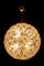 Murano Glass Flower Sputnik Chandelier from Venini, Italy, 1960s, Image 11