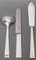 Cutlery Set in Sterling Silver by Jean Tetard, 1937, Set of 154, Image 16