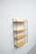 Modular Wall Unit in Ash by Kajsa & Nils Nisse Strinning for String, Set of 6 5