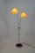 Lampadaire Mid-Century, 1960s 2