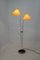 Mid-Century Stehlampe, 1960er 2