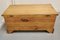 Golden Pine Coffer or Coffee Table, 1960s, Image 6