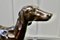 Grande statua in bronzo di cane, anni '20, Immagine 7