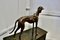 Large Bronze Statue of Dog, 1920s 4