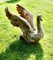 Large Weathered Cast Iron Statue of Swan Landing, 1920s 4