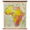 Large University Chart Africa by Bacon, 1920s, Image 1