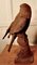 Verwitterte gusseiserne Statue eines Falken auf behandschuhter Hand, 1900er 5