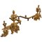 Large French Rococo Brass Fire Dogs, 1800s 1