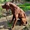 Estatua grande de hierro fundido desgastado de un perro de caza, años 60, Imagen 6