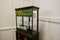 Counter Top Sweet Shop Display Cabinet, 1900s 9