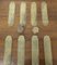 Antique Arts and Crafts Door Finger Plates and Knobs in Brass, 1880, Set of 10 2
