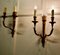 Large French Neoclassical Brass Twin Wall Lights, 1920, Set of 3 3