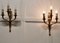 French Neoclassical Brass Triple Wall Lights, 1920, Set of 2 3