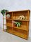 Vintage Dutch Bookcase, 1960s 5