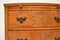 Antique Burr Walnut Bow Front Chest of Drawers , 1910s, Image 10