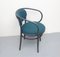 Model 209 Armchair by Michael Thonet for Thonet, 2000s 6