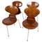 Model 3100 Ant Chairs in Teak by Arne Jacobsen for Fritz Hansen, 1960s, Set of 4 1