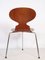 Model 3100 Ant Chairs in Teak by Arne Jacobsen for Fritz Hansen, 1960s, Set of 4 10