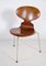 Model 3100 Ant Chairs in Teak by Arne Jacobsen for Fritz Hansen, 1960s, Set of 4 3