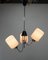 Mid-Century Chandelier from Lidokov, 1960s 4