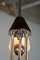 Mid-Century Chandelier from Lidokov, 1960s 11