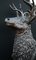 Estatua de bronce de ciervo Monarca de Glen, Imagen 9