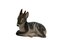 Figura de ciervo de porcelana de Royal Copenhagen, Dinamarca, años 60, Imagen 1