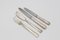 Cutlery by Gio Ponti for Krupp, Milan, 1950s, Set of 48 2