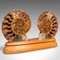 Socle d'Exposition Fossil Ammonite Vintage, 1970s 2