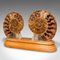 Socle d'Exposition Fossil Ammonite Vintage, 1970s 3