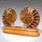 Vintage Sockel aus halbierten Ammoniten Fossilien, 1970er 3