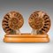 Socle d'Exposition Fossil Ammonite Vintage, 1970s 1