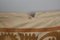 Hellbrauner Vintage Wandteppich aus Samarkand 9