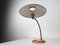Mid-Century Orange Table Lamp by Louis Kalff for Philips, 1950s 7