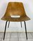 Tonneau Chair by Pierre Guariche for Steiner Paris, 1950s 1