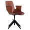 Medea Teak Plywood Swivel Office Chair from Vittorio Nobili, 1950s 1