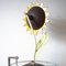 Italienische Mid-Century Tischlampe aus lackiertem Metall mit Sonnenblumen, 1970er 9