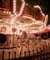 Rachel Louise Brown, The Carousel, Palm Beach Zoo, West Palm Beach, 2015, Fotodruck 1