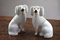 Staffordshire Pottery Poodles, Set of 2 1