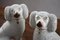 Staffordshire Pottery Poodles, Set of 2 4
