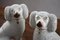 Staffordshire Pottery Poodles, Set of 2, Image 4