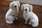 Staffordshire Pottery Poodles, Set of 2 3