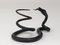 Austrian Snake Sculpture in Hand Forged Iron in the style of Edgar Brandt, 1920s 15
