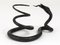 Austrian Snake Sculpture in Hand Forged Iron in the style of Edgar Brandt, 1920s, Image 6
