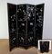 Vintage Chinese Screen, 1950s, Image 3