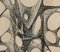 Xavier Albert Fiala, Fossile, Pluma y Tinta India sobre Papel, Enmarcado, Imagen 4