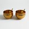 Small Containers with Spoons for Pepper and Forssell Stone Salt for Skultuna, Sweden, 1970s, Set of 4 2