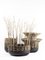 Corbello Container by Gumdesign for La Casa Di Pietra, Set of 4, Image 1