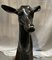 Young Deer in Patinated Bronze from Chiurazzi Napoli, 1890s, Image 6